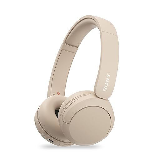 Sony WH-CH520